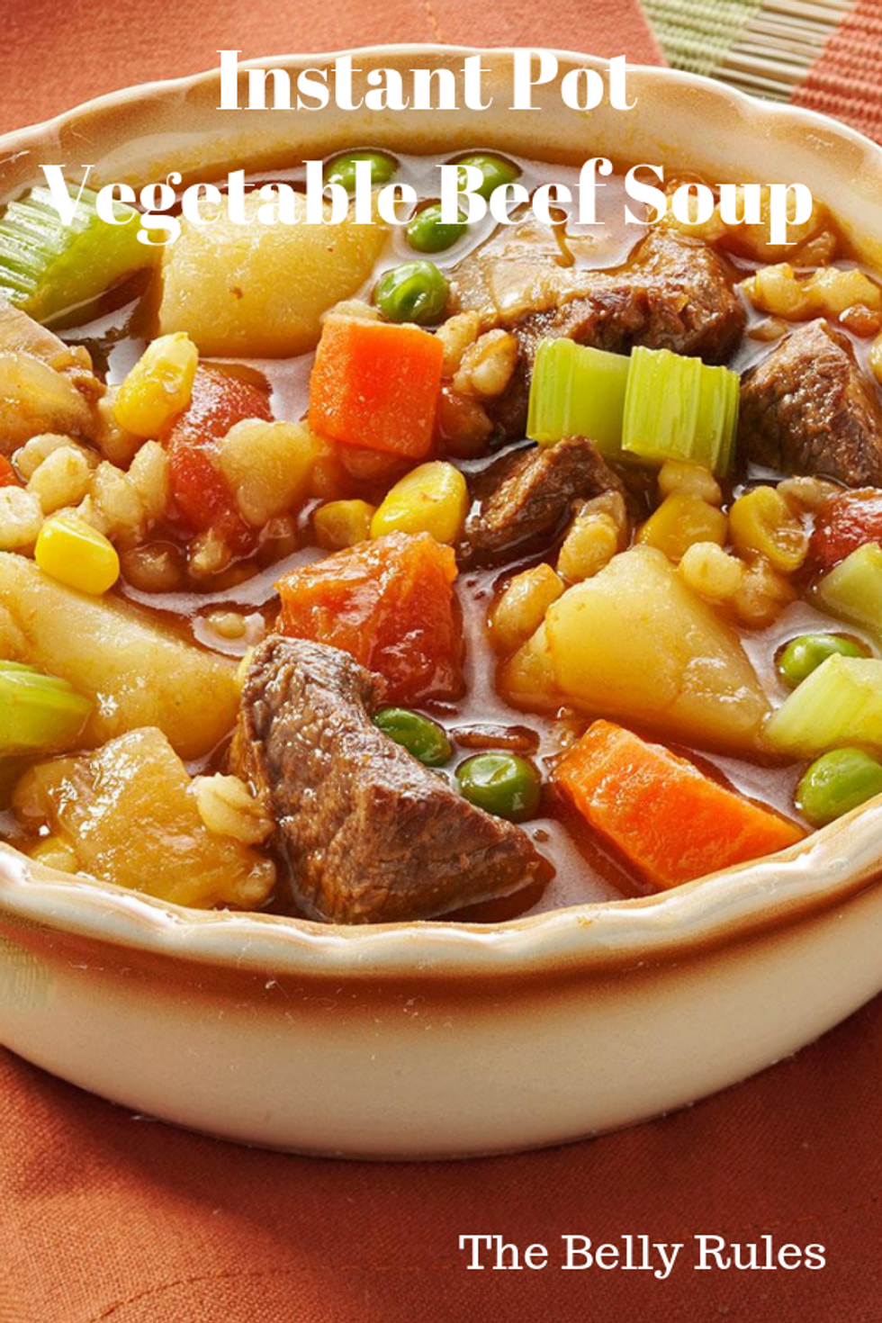 Instant Pot Beef Vegetable Soup My Recipe Magic