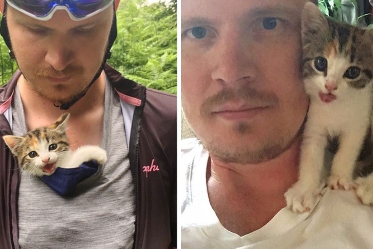 Kitten Found Near Forest All Alone, Climbs on Cyclists and Won't Let Go