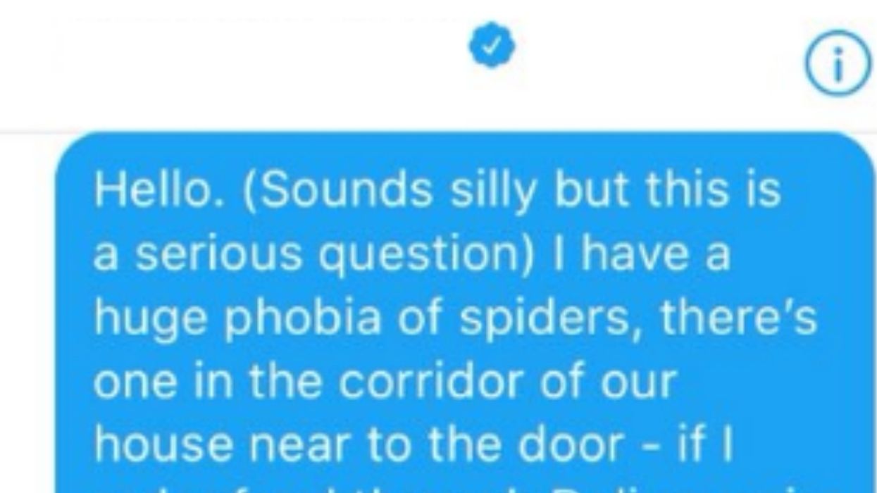 Terrified Woman Needed Someone To Come Over And Kill A Spider—So She Came Up With A Genius Idea 😂