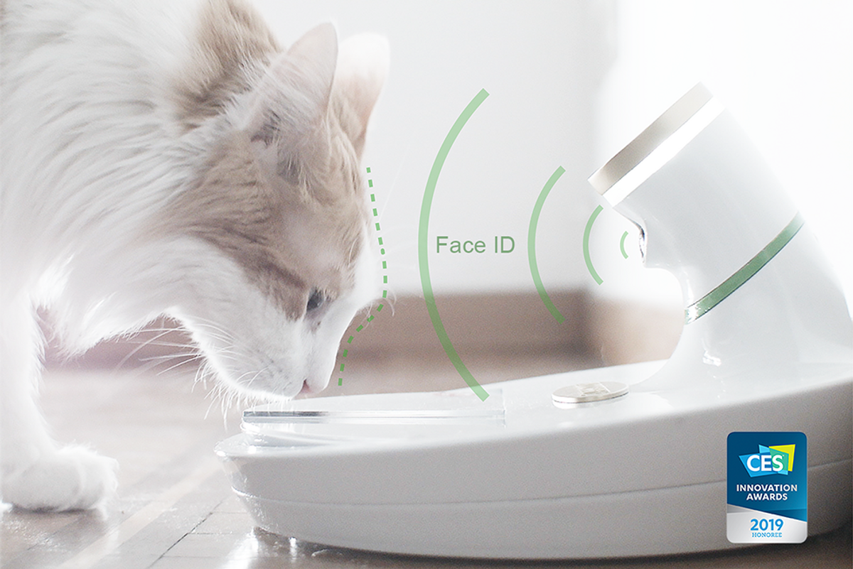 Face ID, but for cats: This food bowl uses facial recognition to feed the right pet
