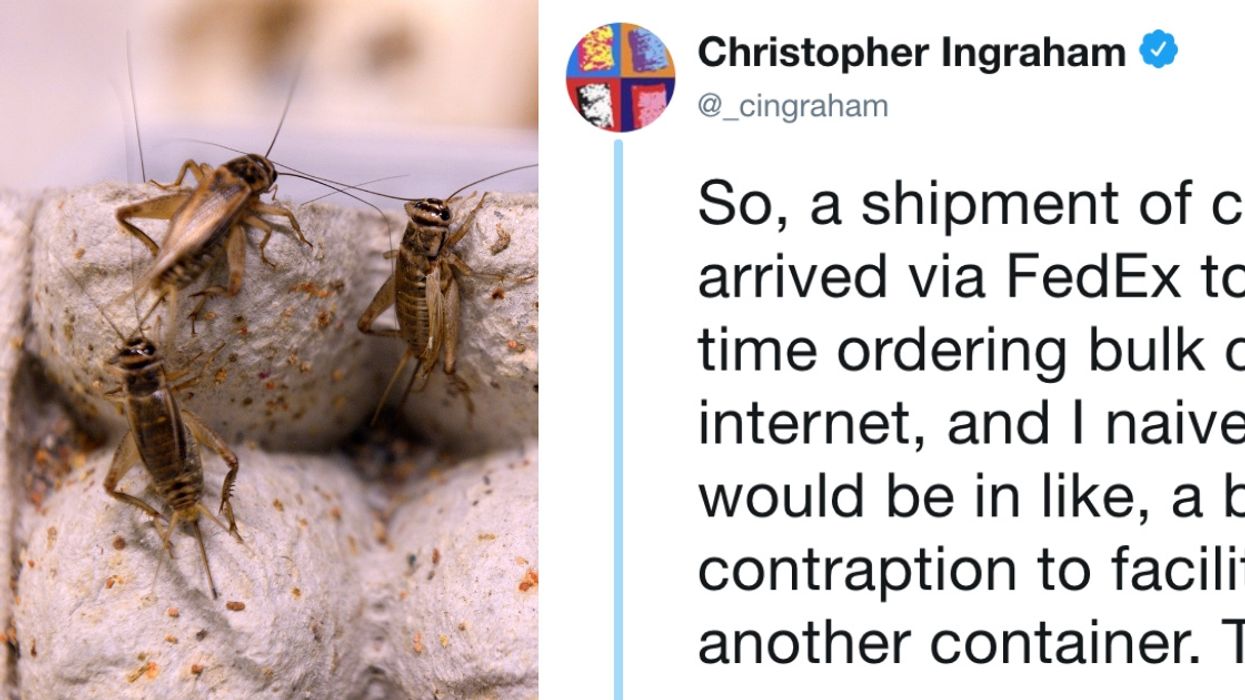 This Guy's Massive Cricket Fail Has The Internet Cringing And LOLing 😂