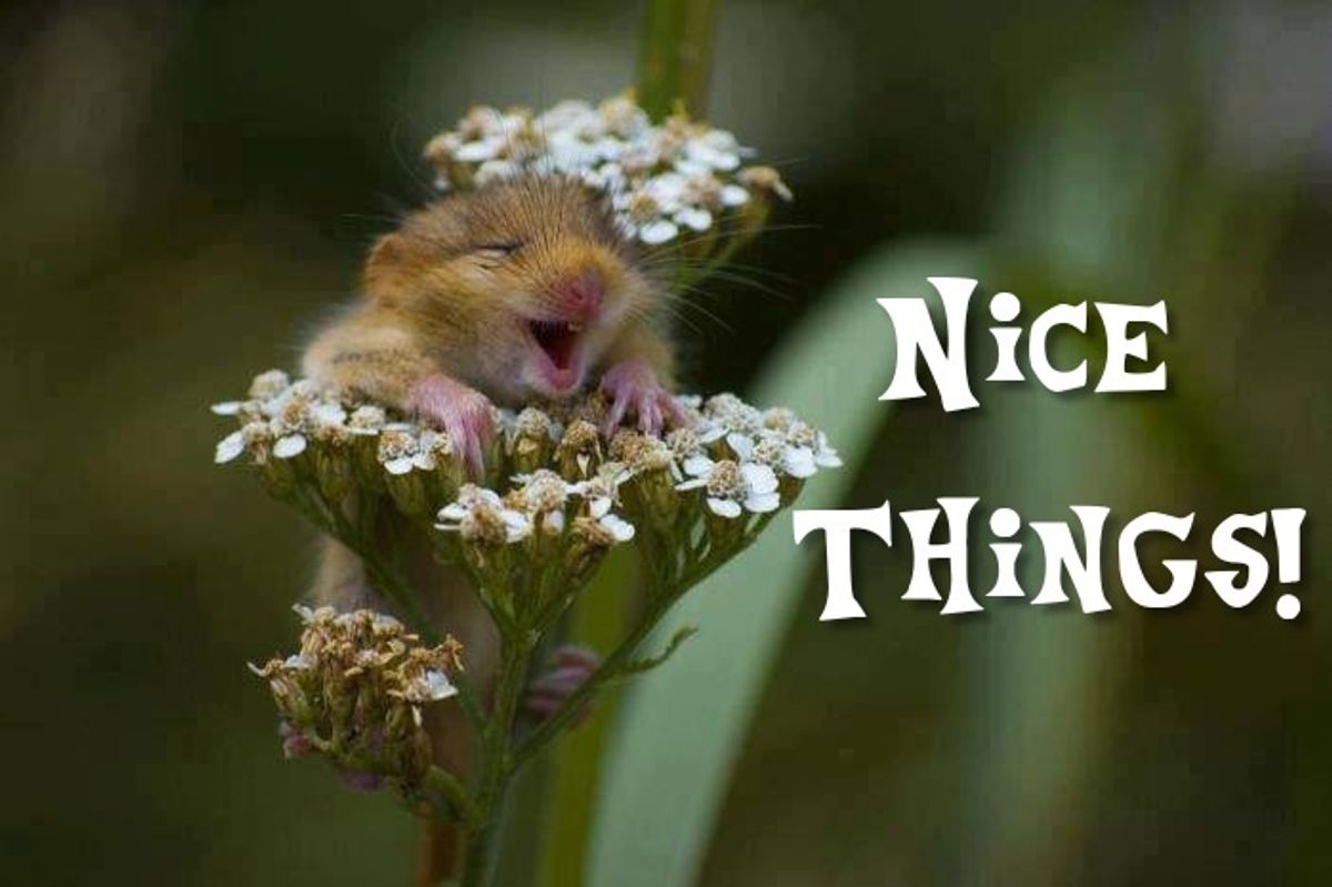 A Sunday Compendium Of Things That Don't Suck