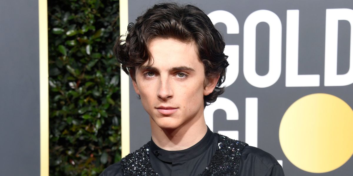 All the Times Timothée Chalamet Has Worn a Gold Chain - PAPER Magazine