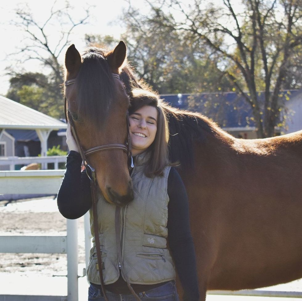 5 Ways ​To Prepare Your Horse For Lease While You're At Uni
