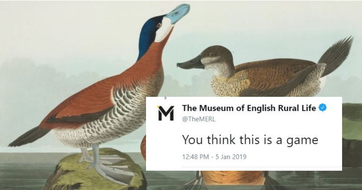 Museums Are Trying To One-Up Each Other With Pictures Of Ducksâ€”And We're Quacking Up ðŸ¦†ðŸ˜‚