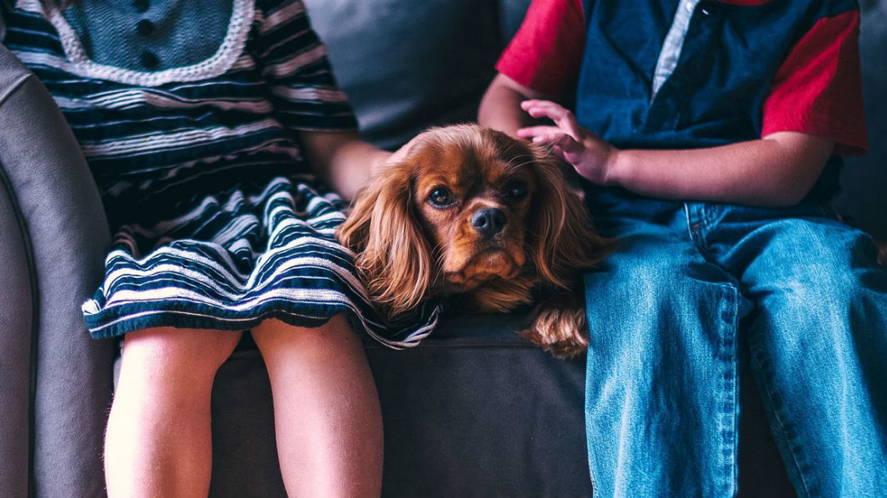 You can take your fur babies with you to this theater in Texas