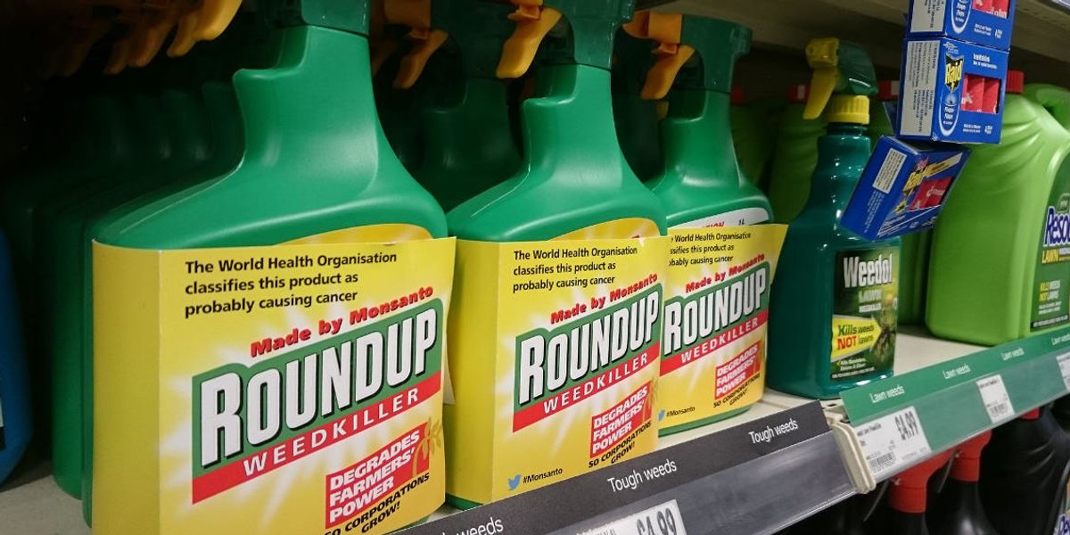 New analysis raises questions about EPA’s classification on glyphosate weed killer