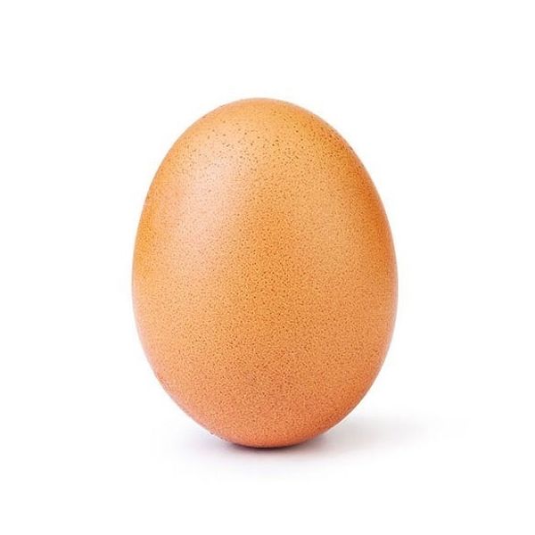 This Egg Is More Popular Than Kylie Jenner