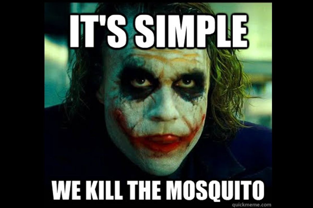Impotent Mosquitos Could Help End Malaria, Insert Bob Dole Viagra Joke My God We're So Old