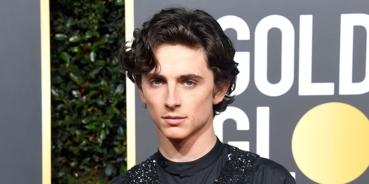 Timothée Chalamet Thinks BDSM Is Called 'Sex Dungeon Culture'