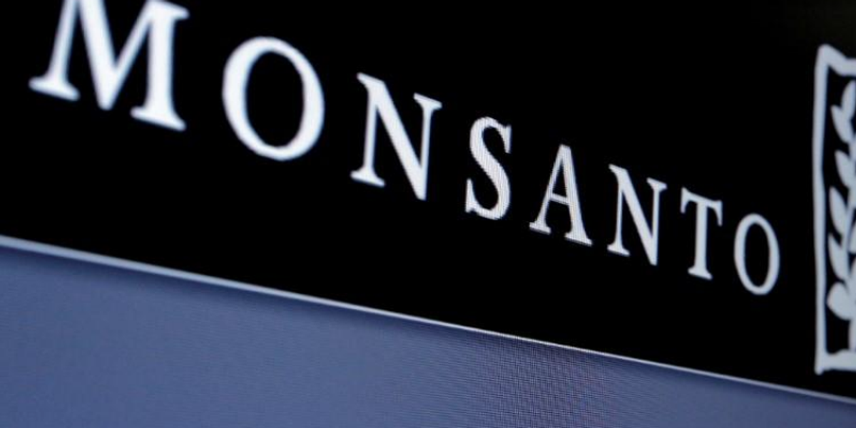 French court cancels Monsanto weedkiller permit on safety grounds-Test2