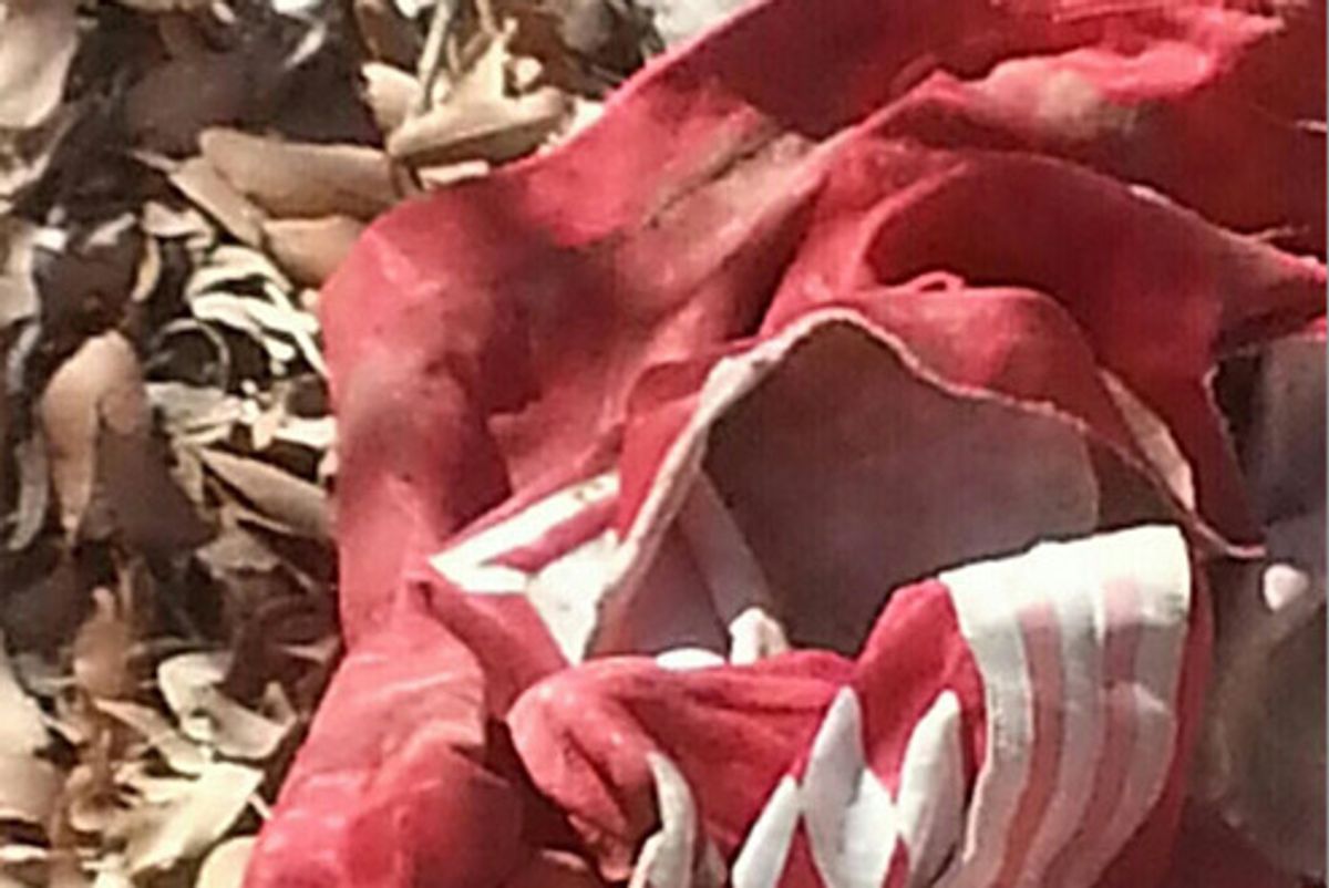 Dead Breitbart Freaks Out Over 'Muslim Prayer Rug' Found Near Border, Sheeple See Only 'Shirt'