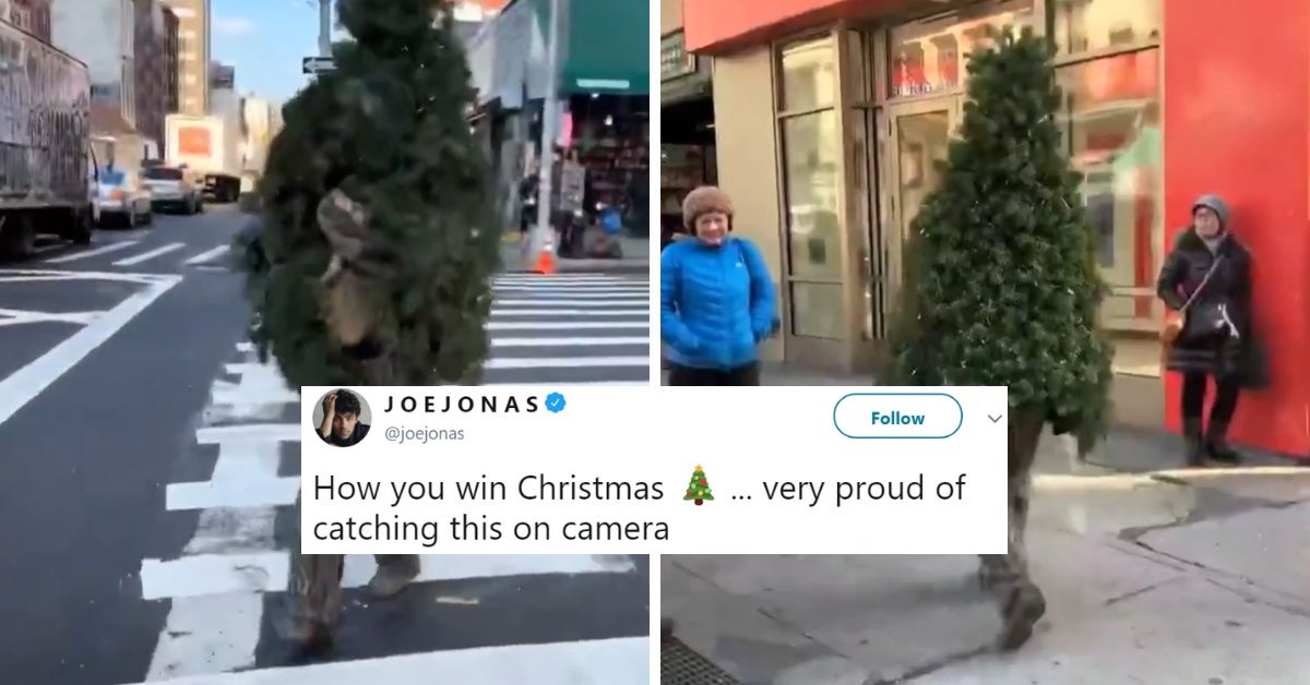 Guy Wins Christmas By Dressing Up Like A Christmas Tree And Walking Around New York City  🎄😂