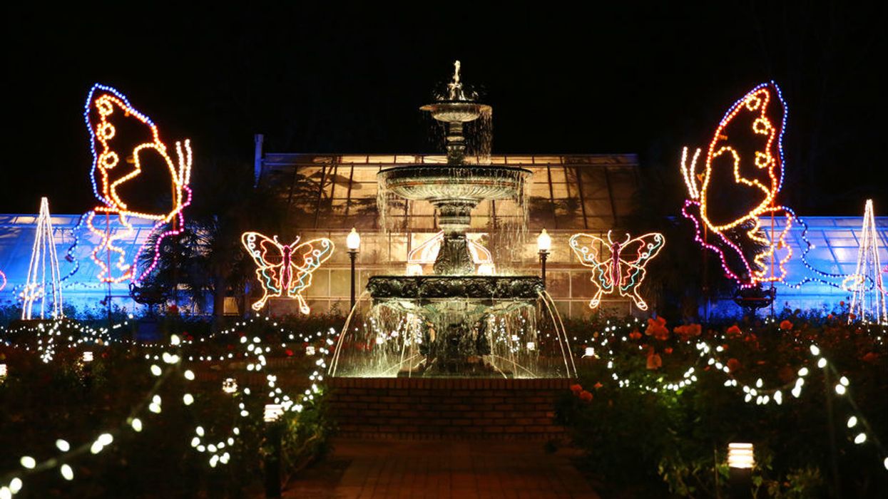 The most dazzling Christmas light display in each Southern state
