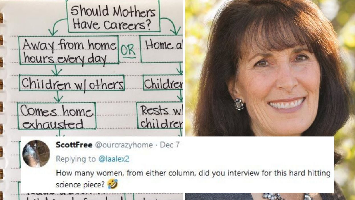 A Chart Titled ‘Should Mothers Have Careers?’ Sets The Internet On Fire