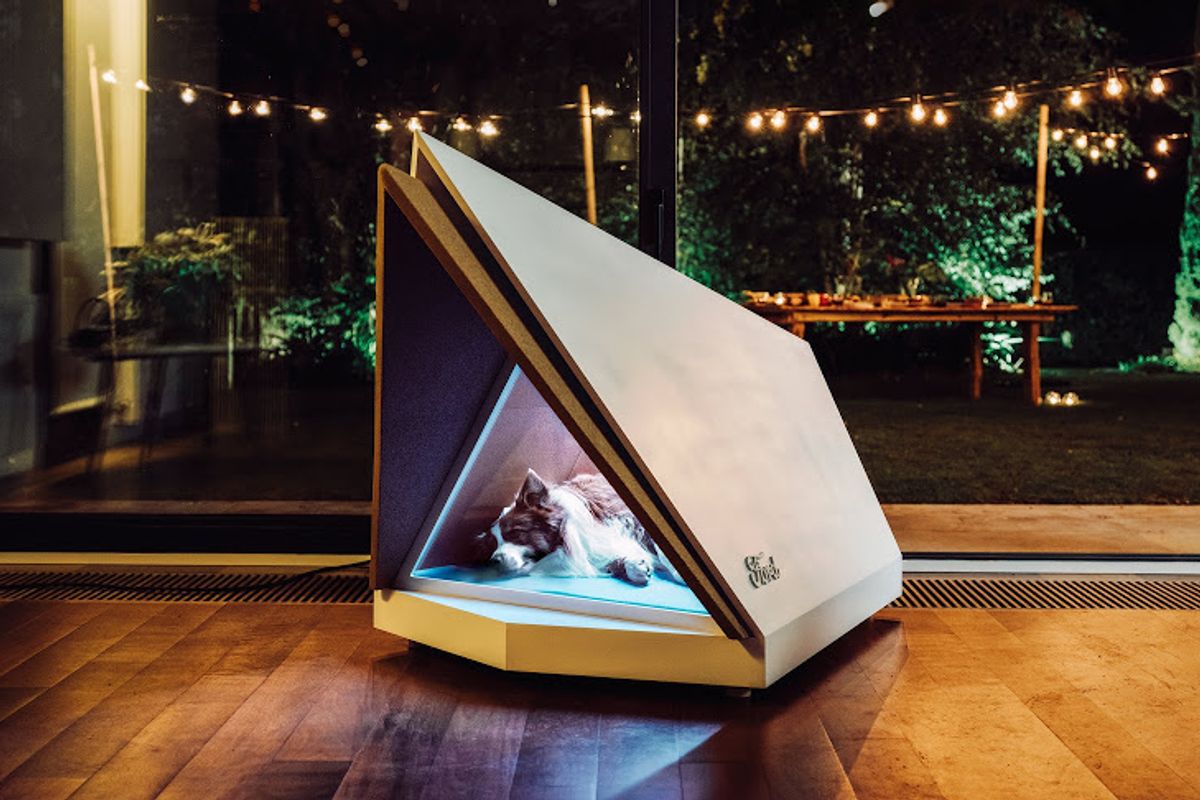 This noise-cancelling kennel is what your dog needs on New Year’s Eve