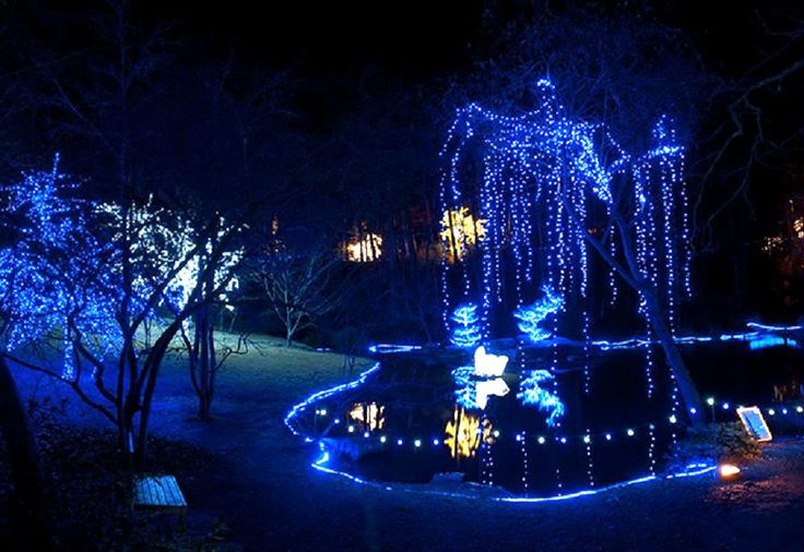 Hopeland Gardens Christmas Lights 2022 The Most Dazzling Christmas Light Display In Each Southern State - It's A  Southern Thing