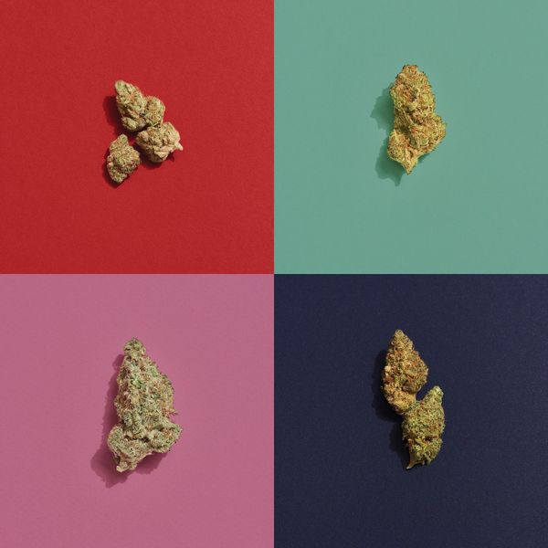 Top 5 Weed Strains