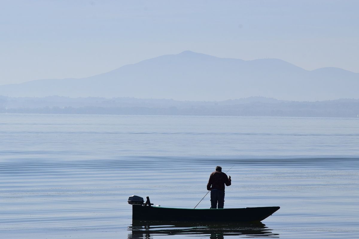 Un pesce fresco di lago spiega quale sia il rumore segreto del Natale