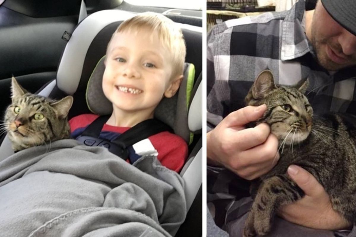 Boy Wrote to Santa About His Lost Cats and Received the Best Gift Ever - He’s Been with Them Since Kittens