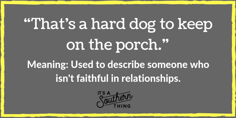 'Sick as a dog' and other Southern phrases about man's best friend - It ...