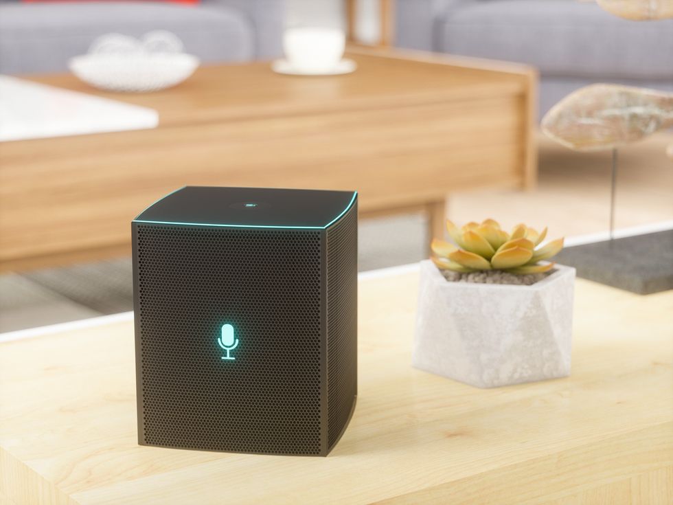 smart speaker home voice assistant loyalty