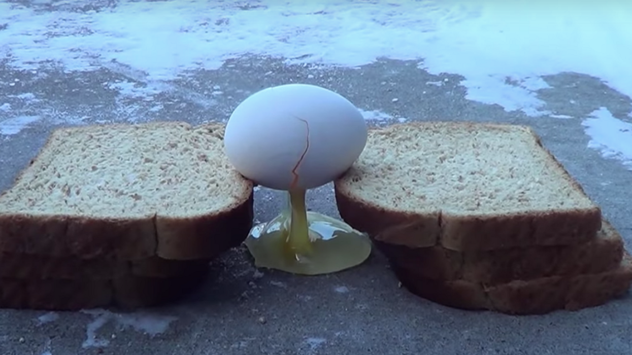 This Video Showing How Eggs Freeze In Minnesota During The Polar Vortex Is Totally Mesmerizing
