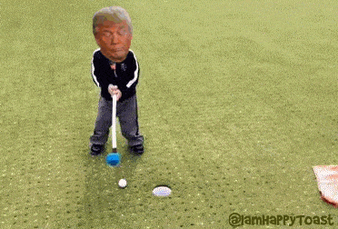 Knock Knock, Donny! It's ALLLLLL The Lawyers