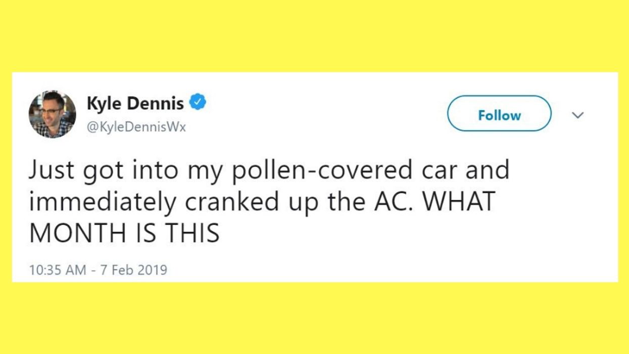 It's only early February and the South is already covered in pollen