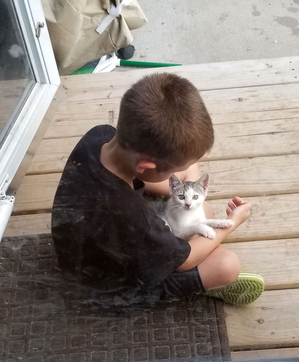 Stray Kitten Sneaks in Family's Yard for Food and Has Her Life Turned ...