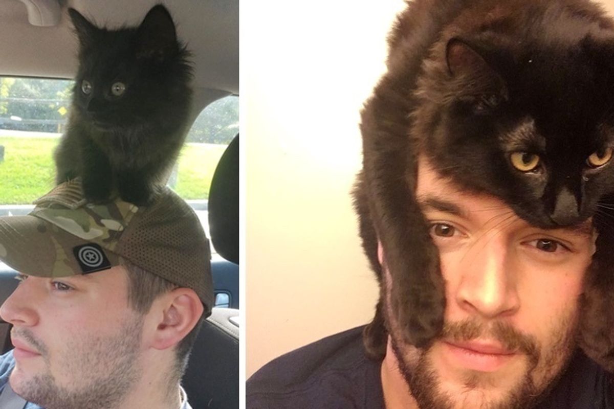 Man Gave Farm Kitten a Home, the Kitty Hopped on His Shoulder and Wouldn’t Leave Him