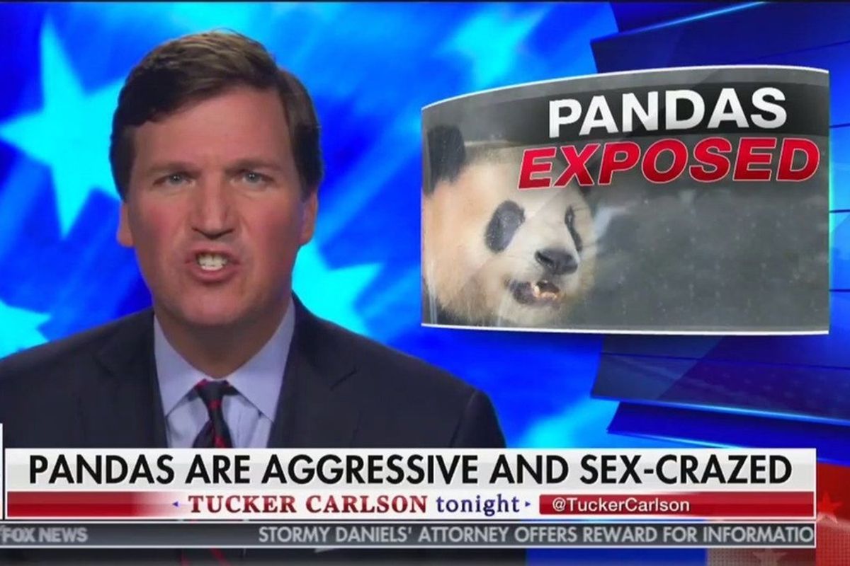 Fox News Too Classy To Air Tucker Carlson Screaming Obscenities At 'Moron' Guest