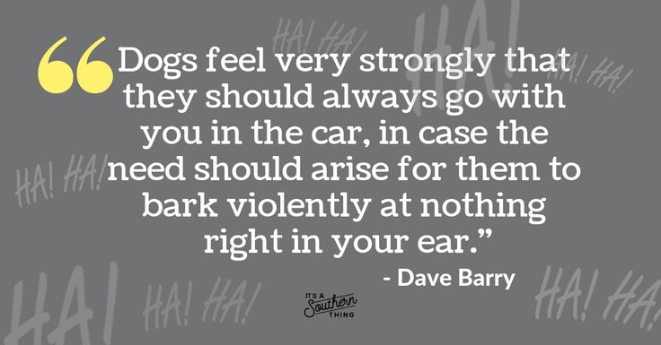 25 Dave Barry Quotes That Will Make Milk Shoot From Your Nose It S A Southern Thing