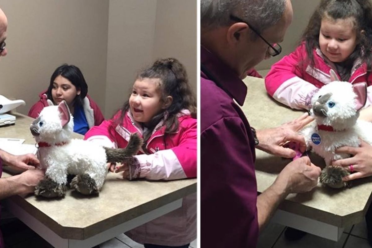 Vet Clinic Helps Little Girl Care for Her Beloved Plush Toy Cat