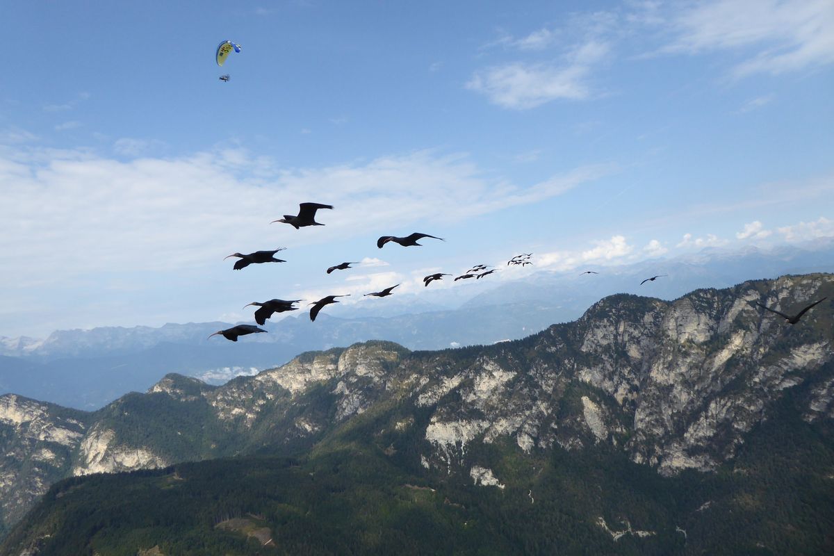 Solo chi impara ad amare sé stesso sa amare anche gli altri e la natura