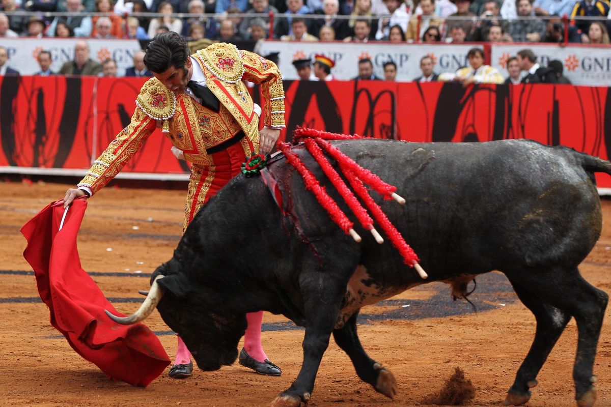 La prima bufala è sui tori: non odiano il rosso