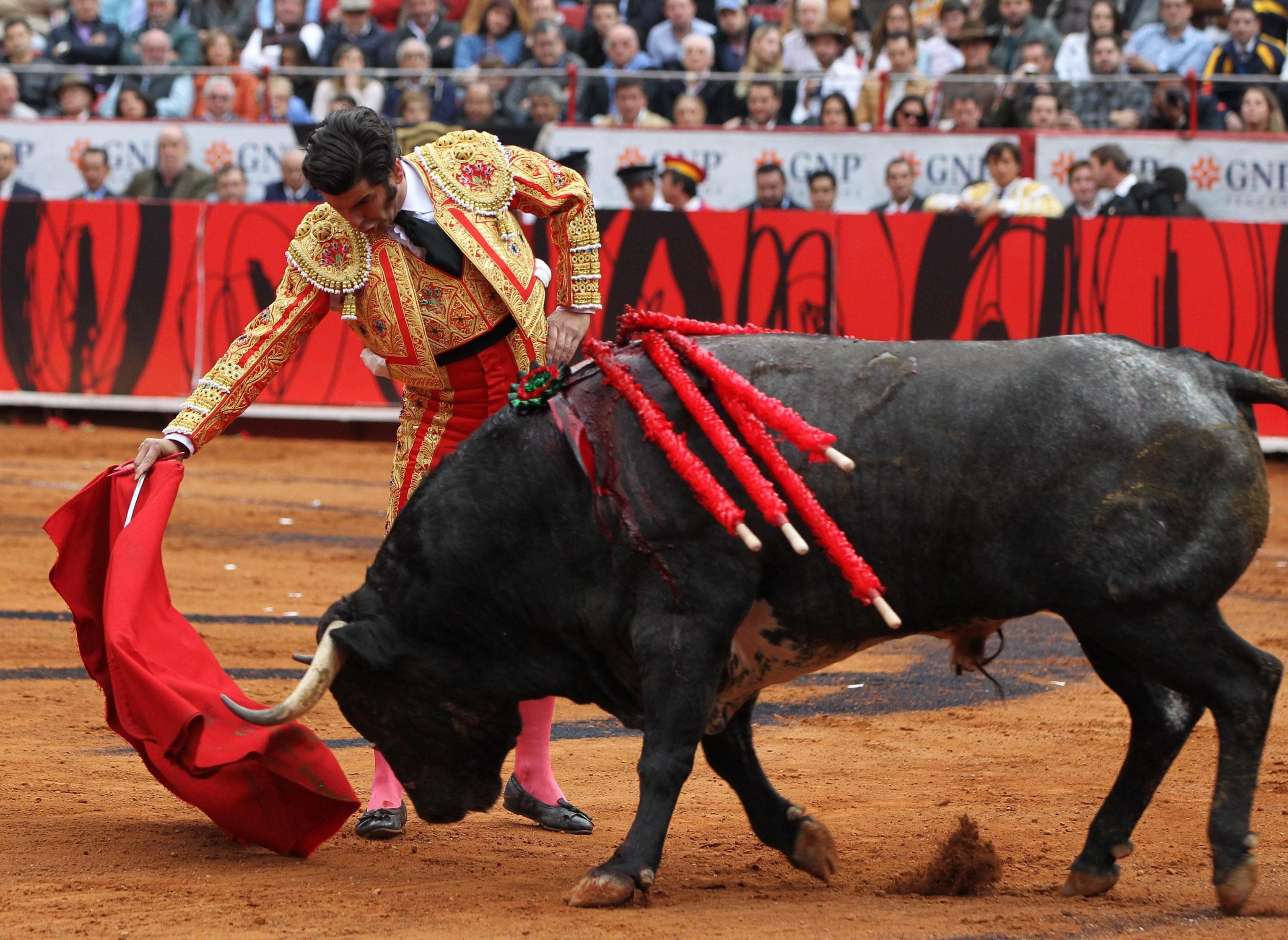 La prima bufala è sui tori: non odiano il rosso
