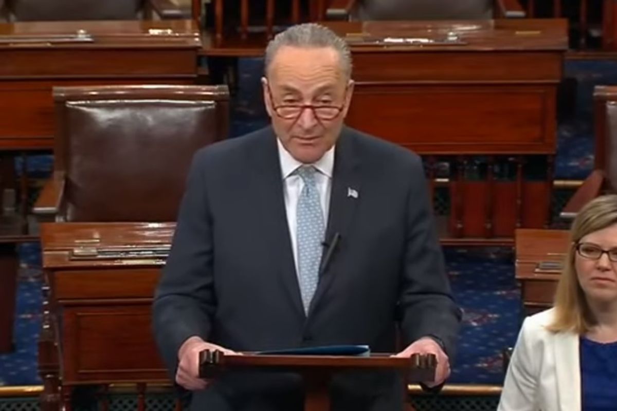 Chuck Schumer Going On Offense On Climate Change? Be Still Our Hearts!