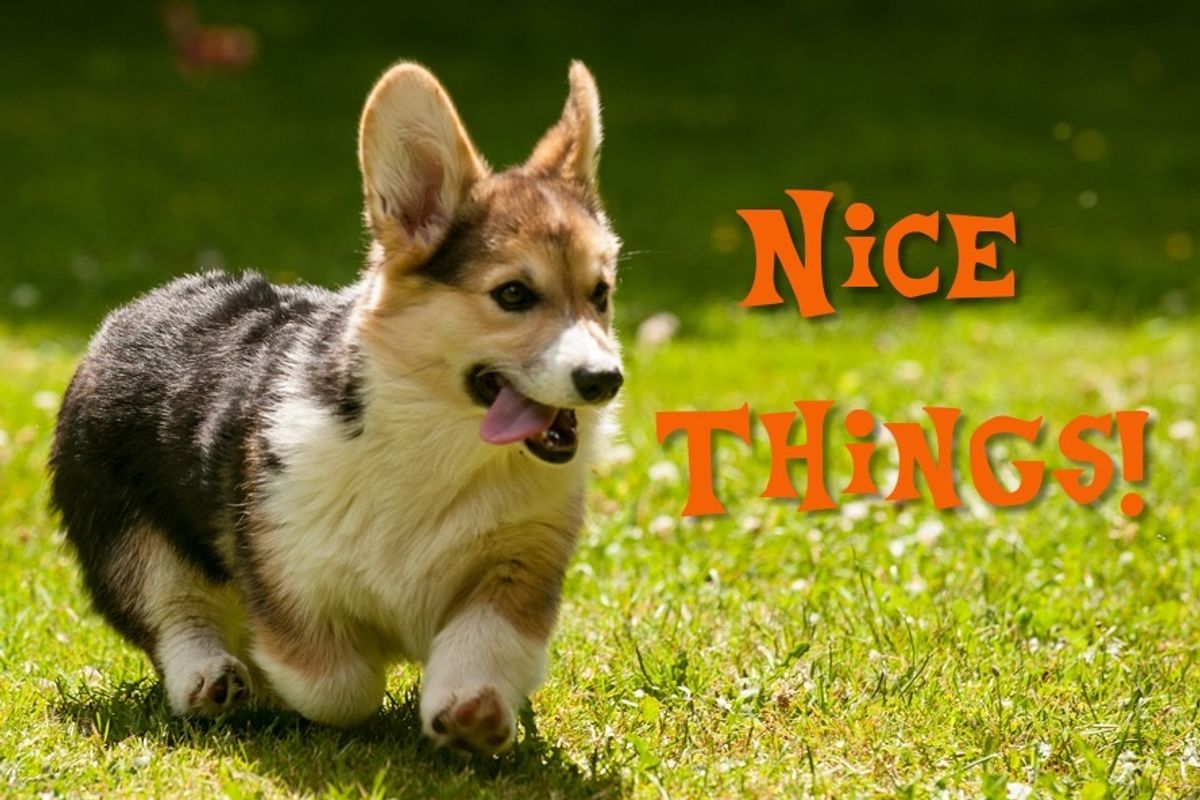 Forget Trump. Let's Have Some NICE THINGS.