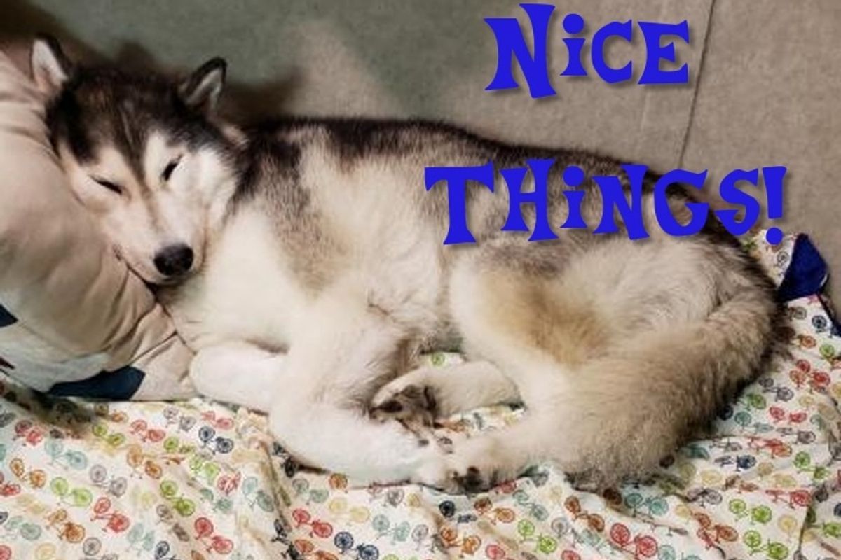Why Yes, We CAN Have Nice Things!