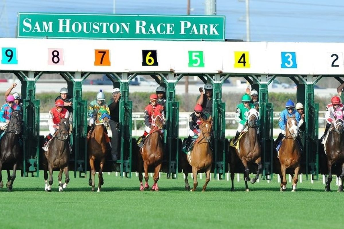 Sam Houston Race Park picks for opening night