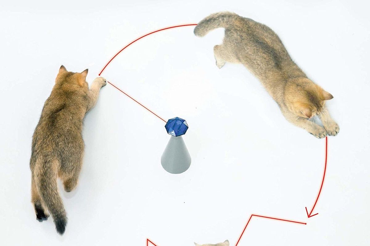 6 Best Interactive Cat Toys
