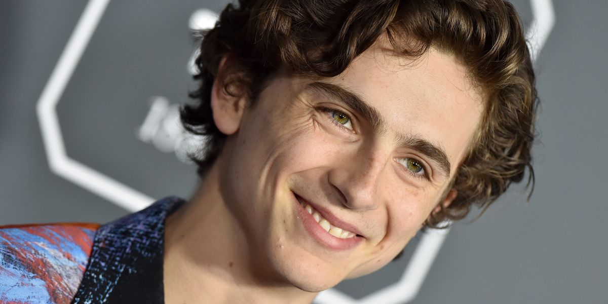 Timothée Chalamet Stans Are Boycotting the Oscars