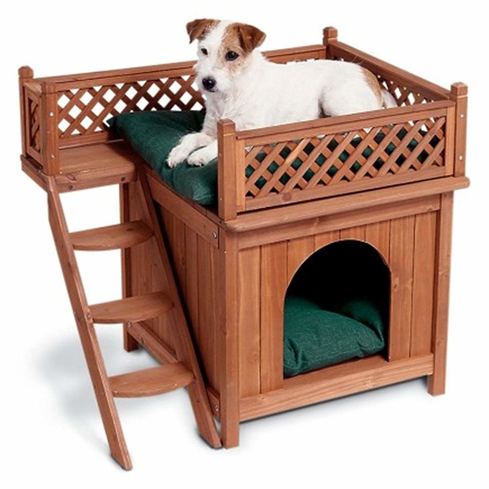 best dog house kits to keep your dog warm and dry Topdust