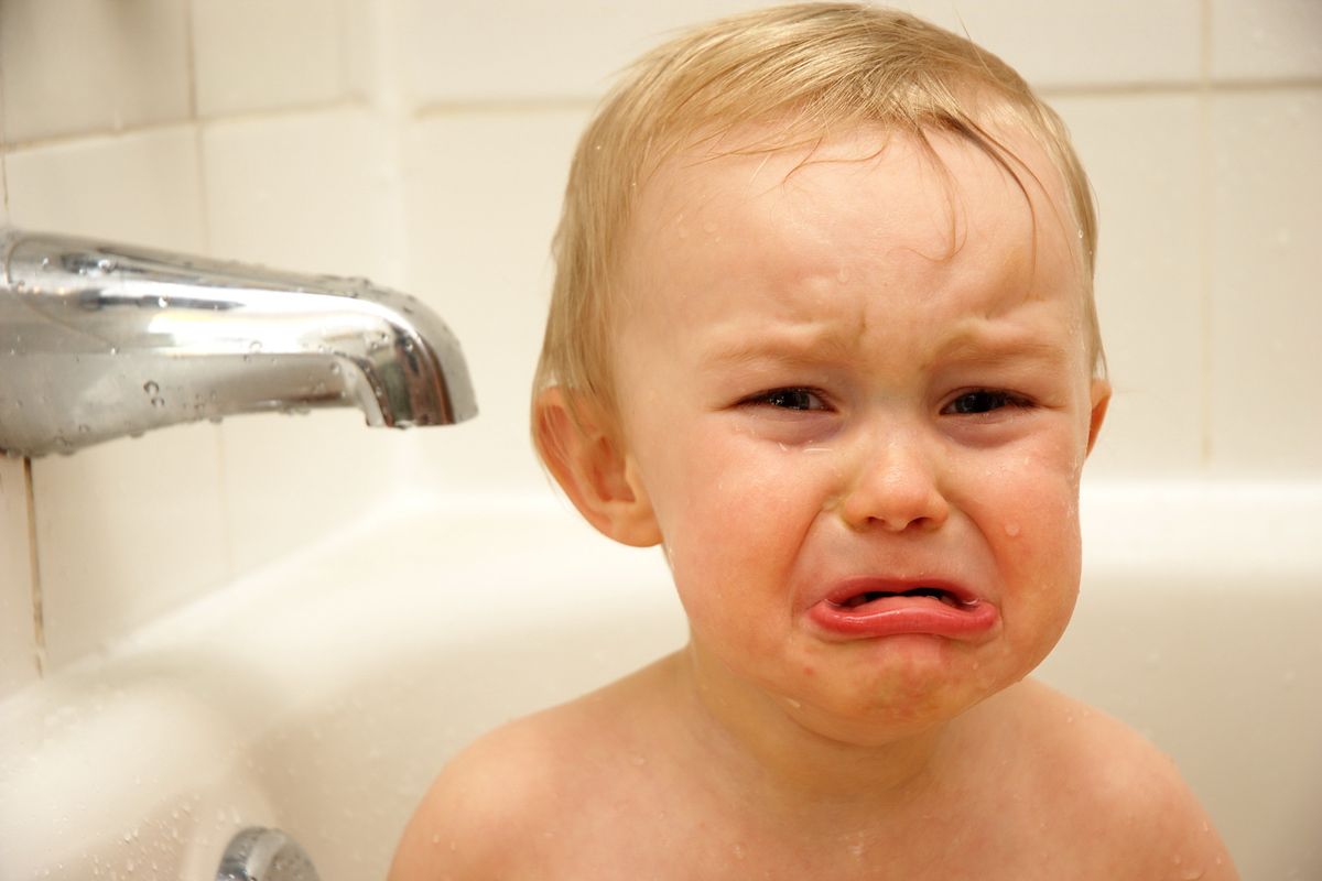 Let Us Bask In The Tears Of Heartbroken Trumpists!