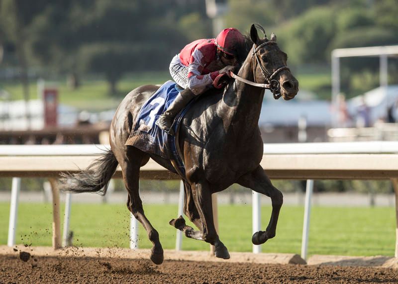 Sam Houston Race Park picks for Jan. 27 with bonus pick 4 play