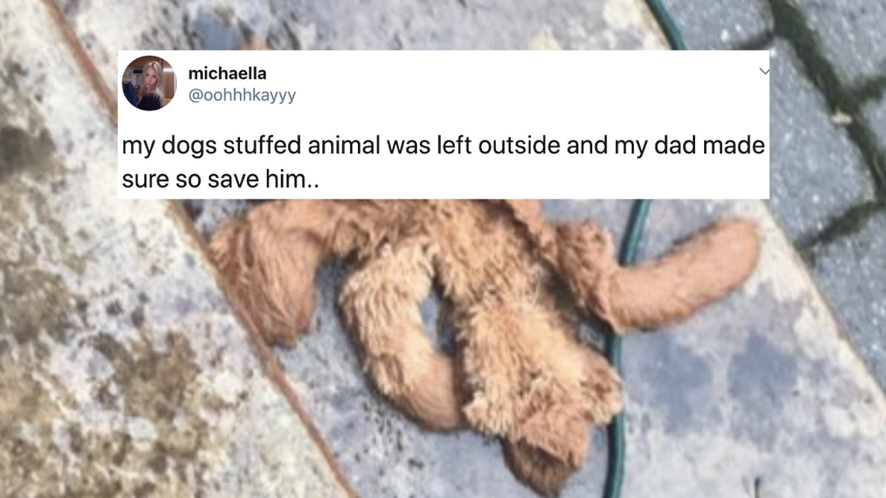 This Pup's Ruined Stuffed Bear Was Nursed Back to Health by His Human and It's Healing Us All