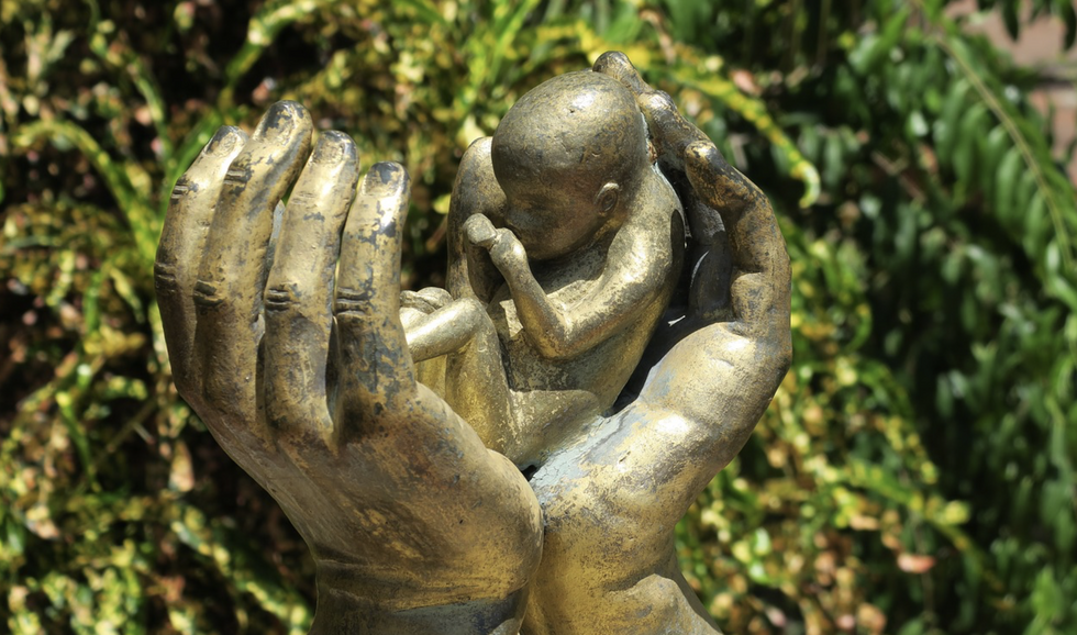 https://pixabay.com/en/abortion-hand-hands-protective-hand-3533963/