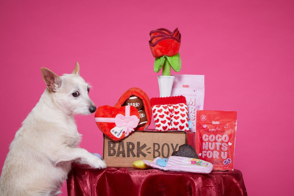 Puppy Love Is In The Air With BarkBox's Limited Edition Valentine's Day Box!