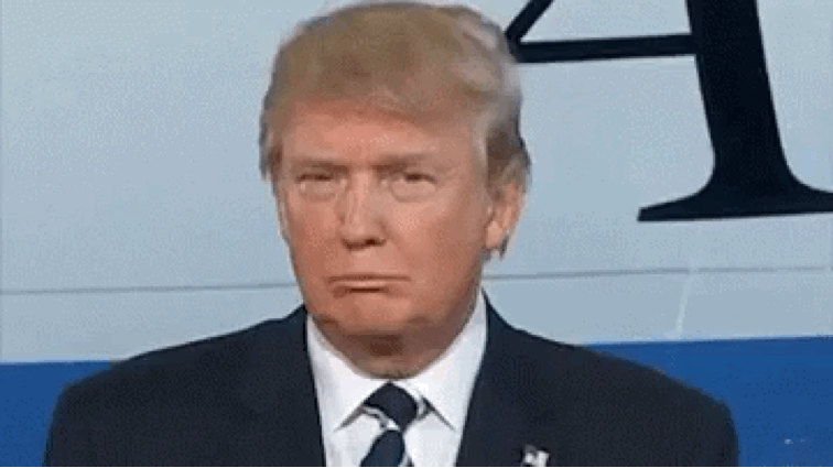 Trump Thinks He Has Less Than 50-50 Shot Of Getting WALL, Which Is Very Cute Way Of Saying 'ZERO'